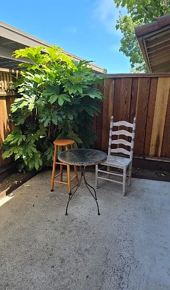 105 Torrey Pine Ter — Photo 5