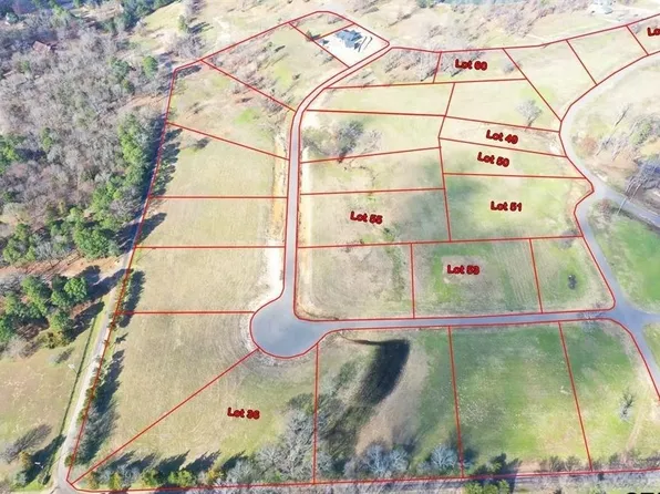 36 Southshores, Pittsburg, TX 75686