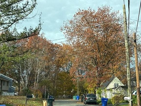 4th image of 47 Fellsmere St