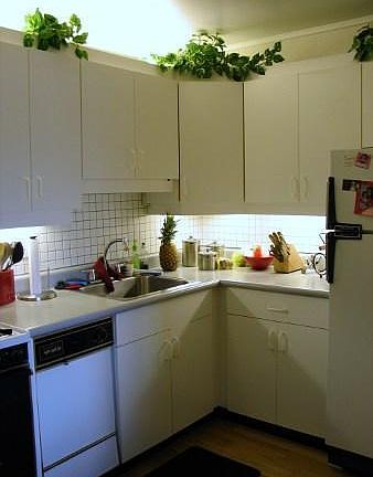 5th image of 2025 E Greenwich Ave Unit 304