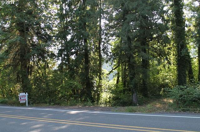 2nd image of McKenzie Hwy
