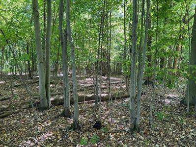833 Township Road 754, Ashland, OH, 44805
