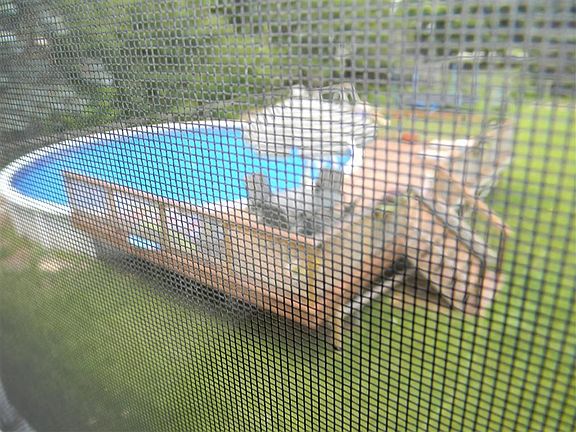 3rd image of 24533 Kathryn Ct