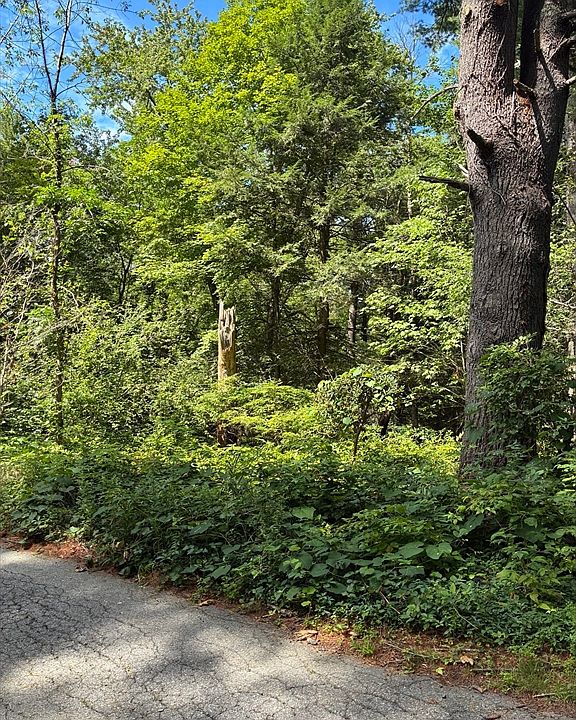 2nd image of 0 Meyer Ln