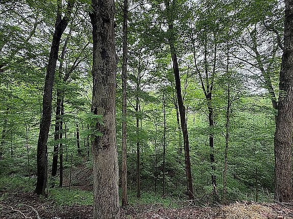 5th image of 3866 Woodthrush Rd