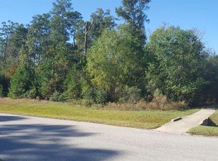 27439 Blue Cedar Ln, Spring, TX 77386