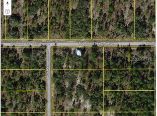 SW Sunshine Ridge Rd LOT 40, Dunnellon, FL 34431