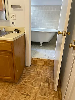 Rented by Manhattan Flats | media 2