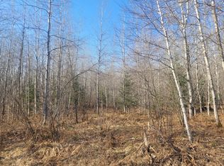 Near Knowles Rd, Winter, WI 54896