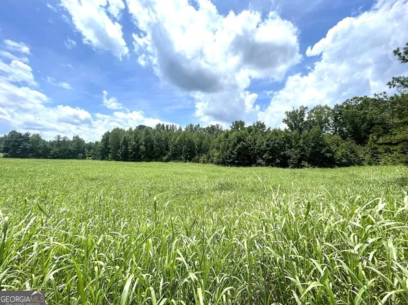 0 Stinchcomb Rd, Elberton, GA 30635