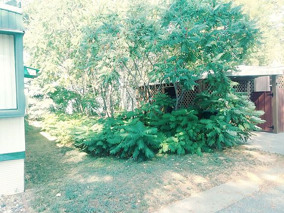 Lush landscaping.