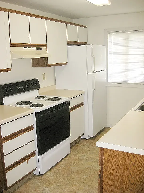 1 bed, 700 sqft, $1,219 — Photo 4