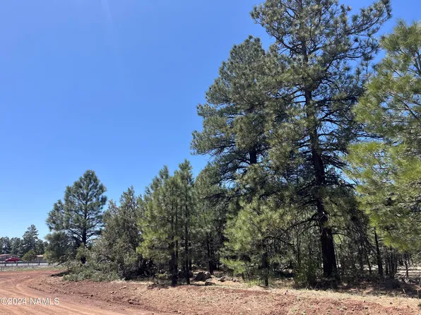 138 S Kaibab Ave #34, Parks, AZ 86018