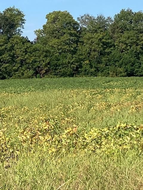 1st image of 3845 Camden Hwy