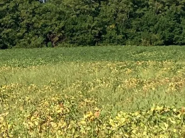 3845 Camden Hwy, Dalzell, SC 29040