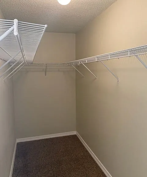 286 Limestone Cir — Photo 9
