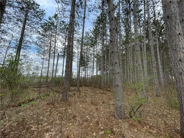 Lot 15 Cassandra Road, Hayward, WI 54843