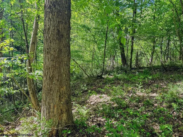 3372 Dinkenberger Rd, Kingwood, WV 26537