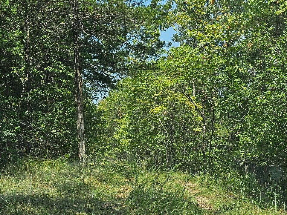 1st image of 278 County Road 663