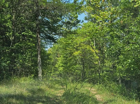 278 County Road 663, Theodosia, MO 65761