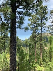 Toboggan Hill Rd, Lead, SD, 57754