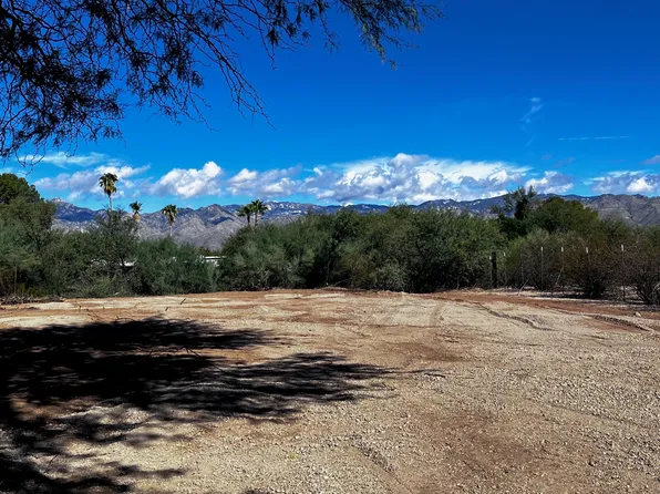 1347 N Golden Palomino Pl #C, Tucson, AZ 85715