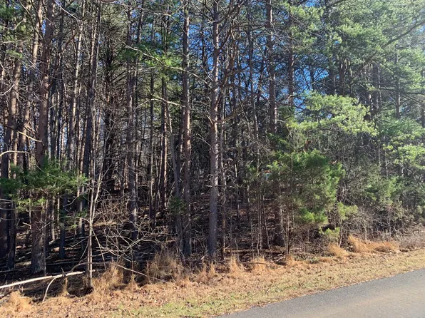 30 Tracy Dr, Moneta, VA 24121