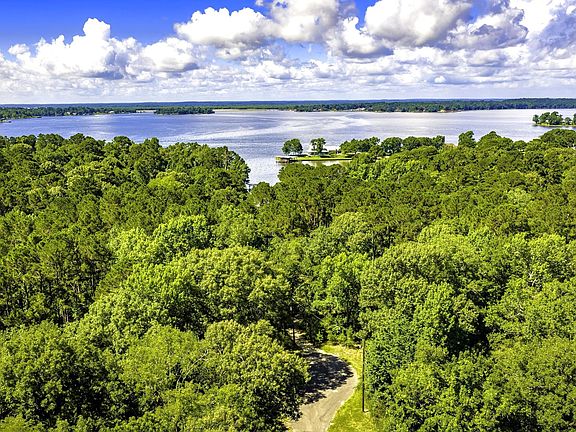 2nd image of Pine Cir