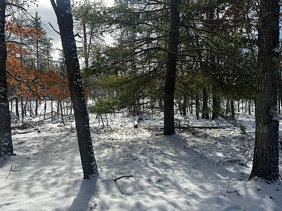 5th image of 7251 S Clay Banks Rd