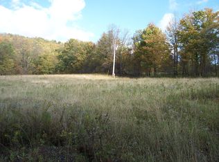 1025 Snake Hill Rd, Walton, NY 13856