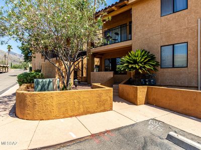 8271 N Oracle Rd, Tucson, AZ, 85704