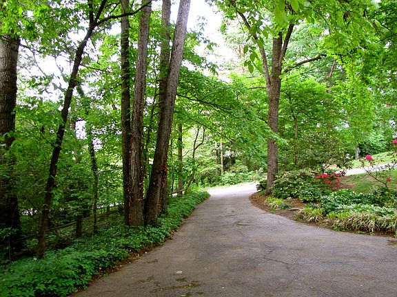 Driveway to Home