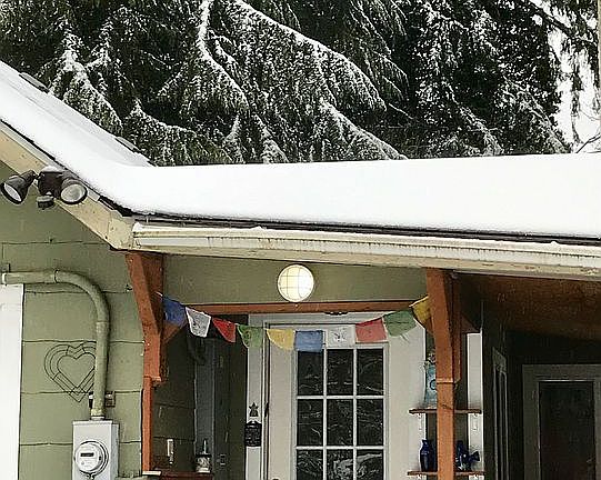 Snow trees back door