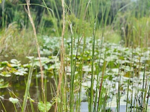 4th image of Deer Rd Lot 58