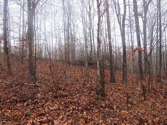 3rd image of Dale Dr