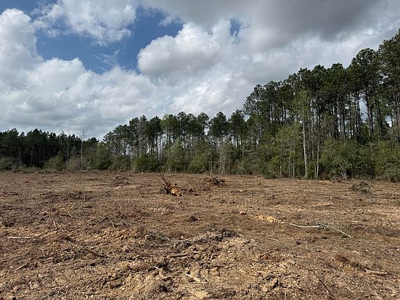 4th image of Wesley Coleman Rd