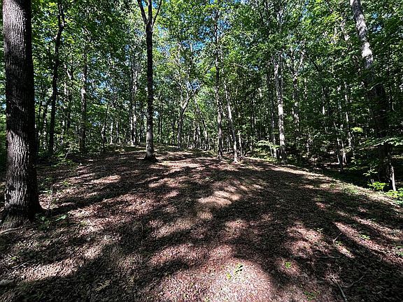 5th image of Lakeview Ln #304