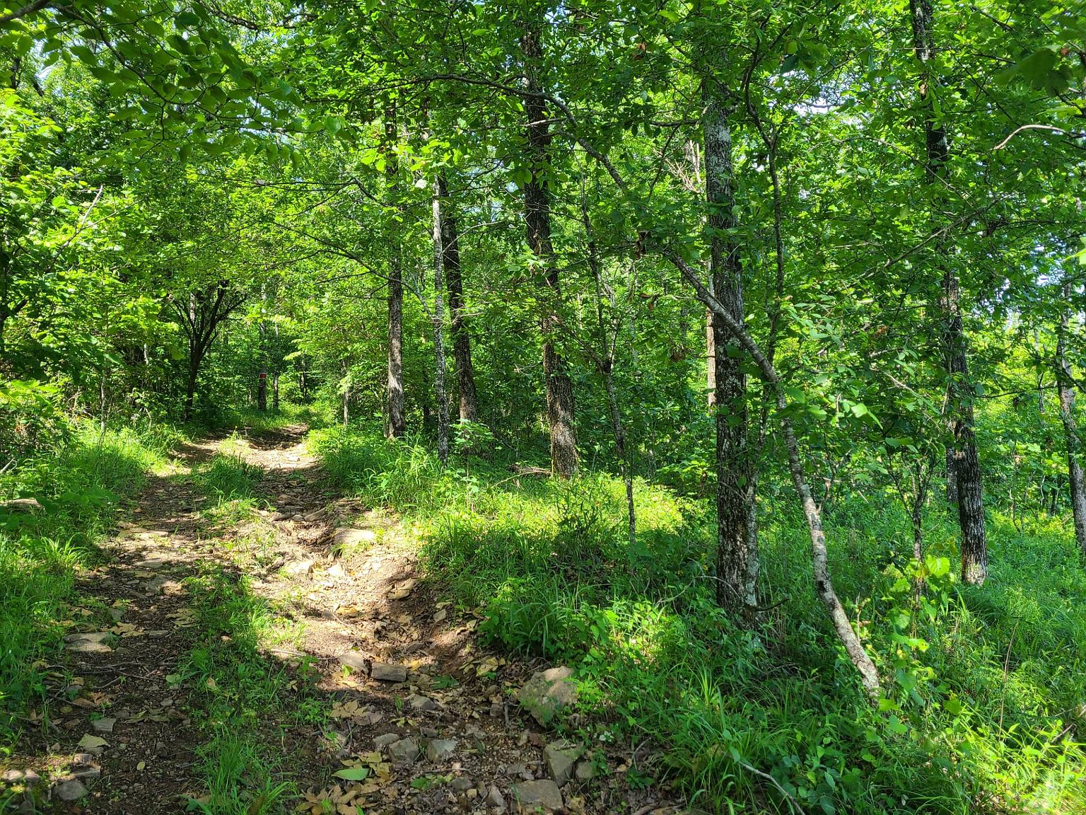 Indian Hiway, Honobia, OK 74549 Zillow