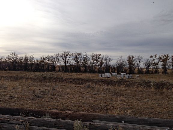 3rd image of 16 Miles Up Rapelje Road