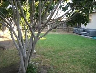 5th image of 1014 Greenberry Dr