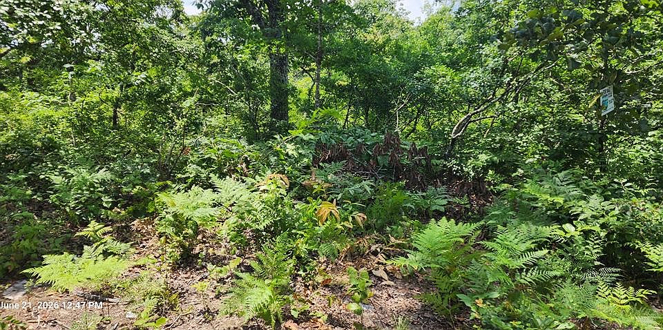 1st image of 0 Dogwood Cv