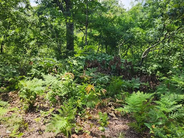 0 Dogwood Cv, Holladay, TN 38341