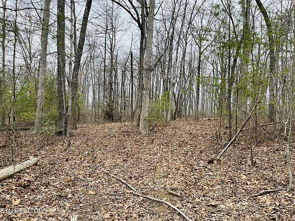 4th image of 31 Tresa St Lot 31