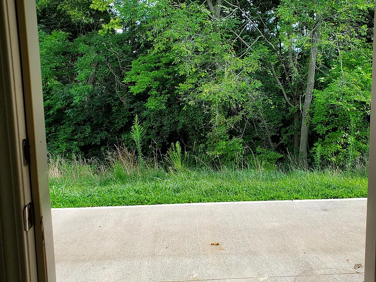 Private back yard.