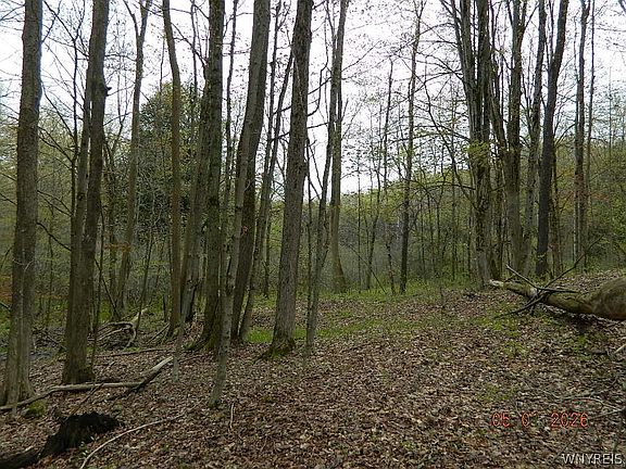 2nd image of 9999 Olean Rd