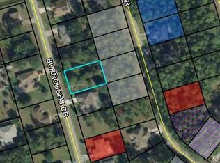 101 Burroughs Dr, Palm Coast, FL 32137