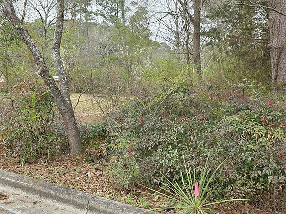 4th image of LOT 7B Goehler Rd SE