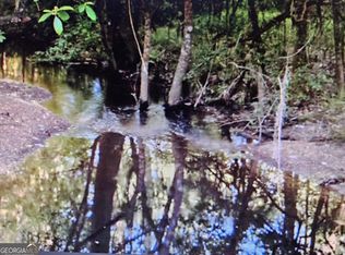 1 Old Vienna Rd, Elko, GA 31025