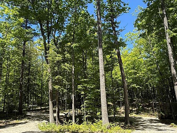 5th image of Hy Line Trl