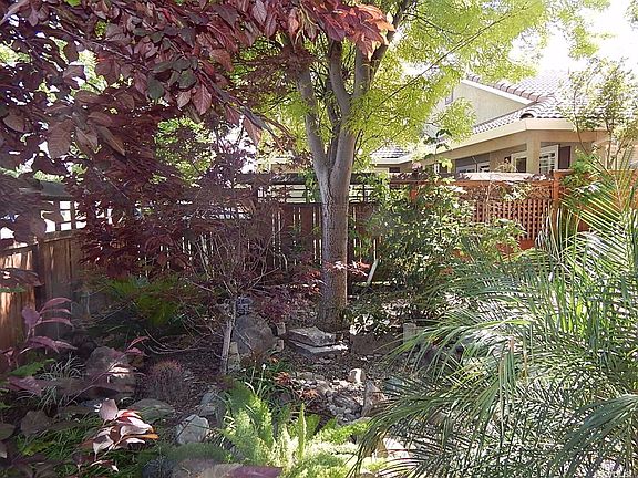 5th image of 309 Park Sharon Dr